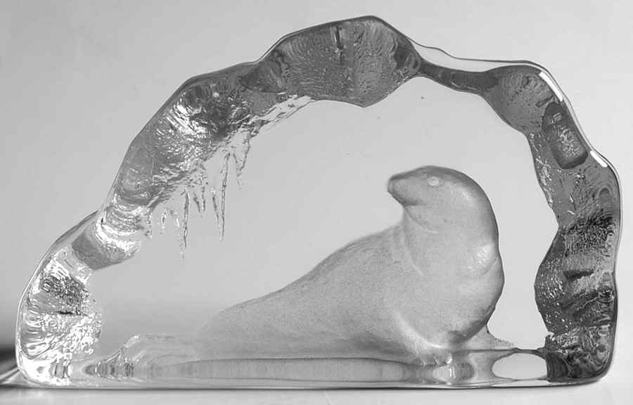 Nordic Animals Seal - Boxed by Mats Jonasson-1