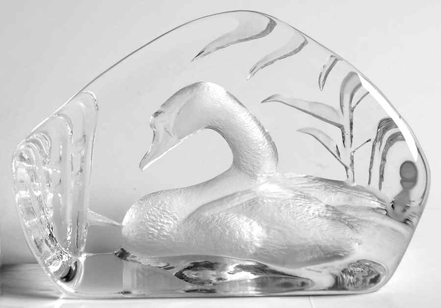 Birds Swan - No Box by Mats Jonasson-1