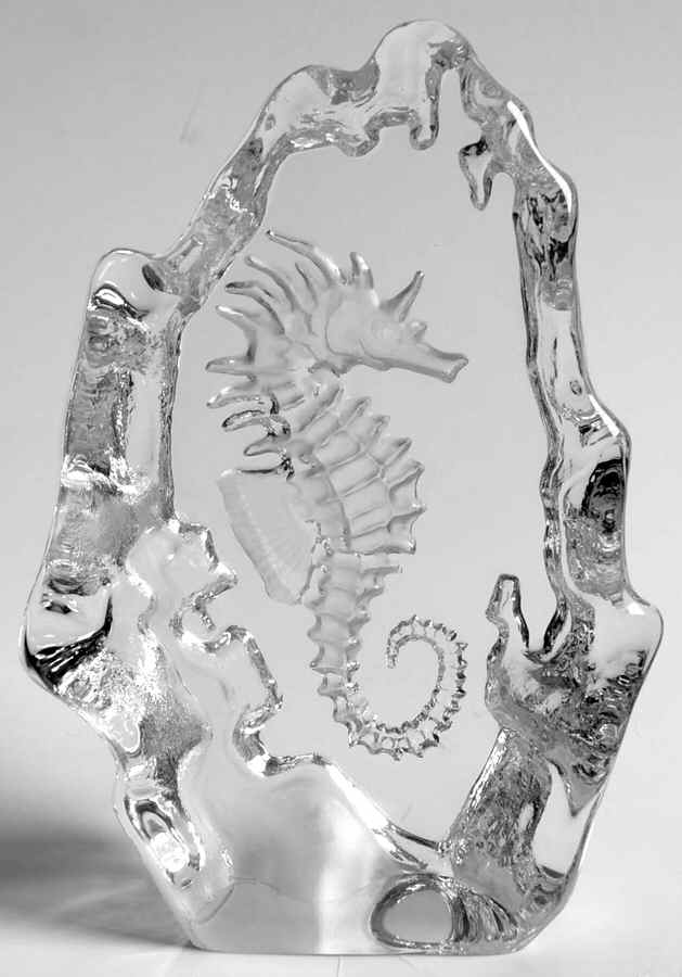 Fish Marine Life & Reptiles Seahorse - No Box by Mats Jonasson-1