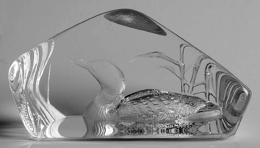 Birds Loon - Boxed by Mats Jonasson-1