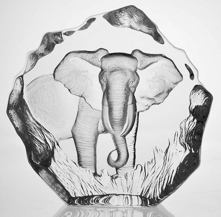 Tropical Animals Elephant - Boxed by Mats Jonasson-1