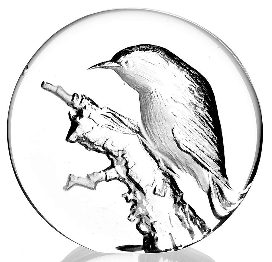 Birds Bird On Branch - No Box by Mats Jonasson-1