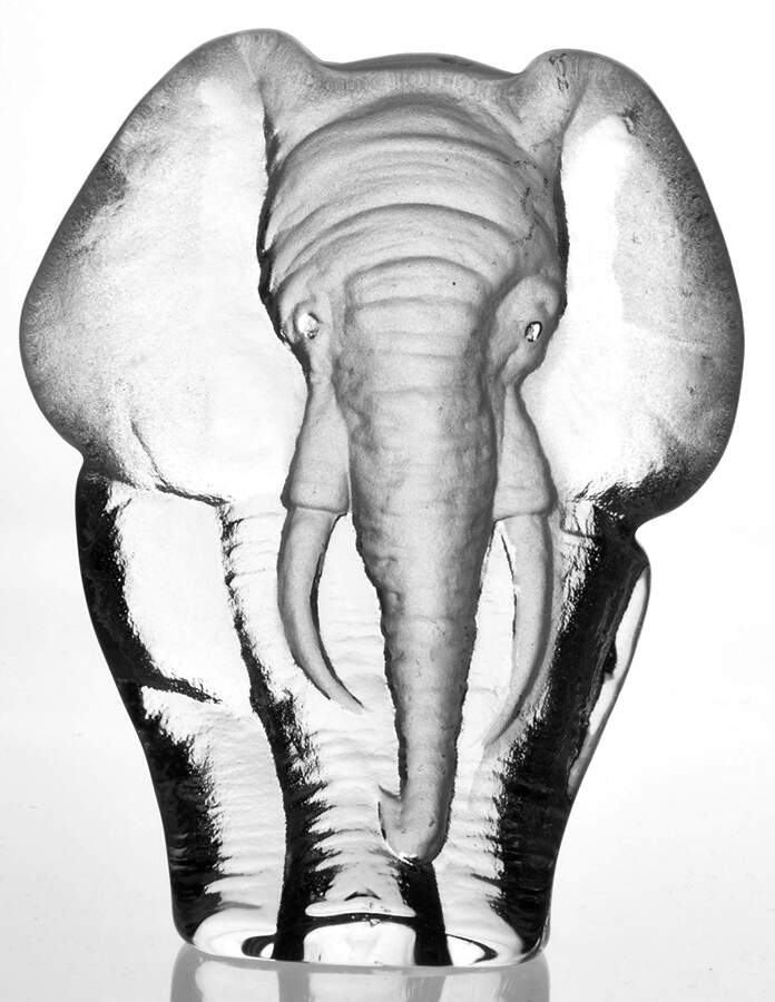 Tropical Animals Elephant - Boxed by Mats Jonasson-1