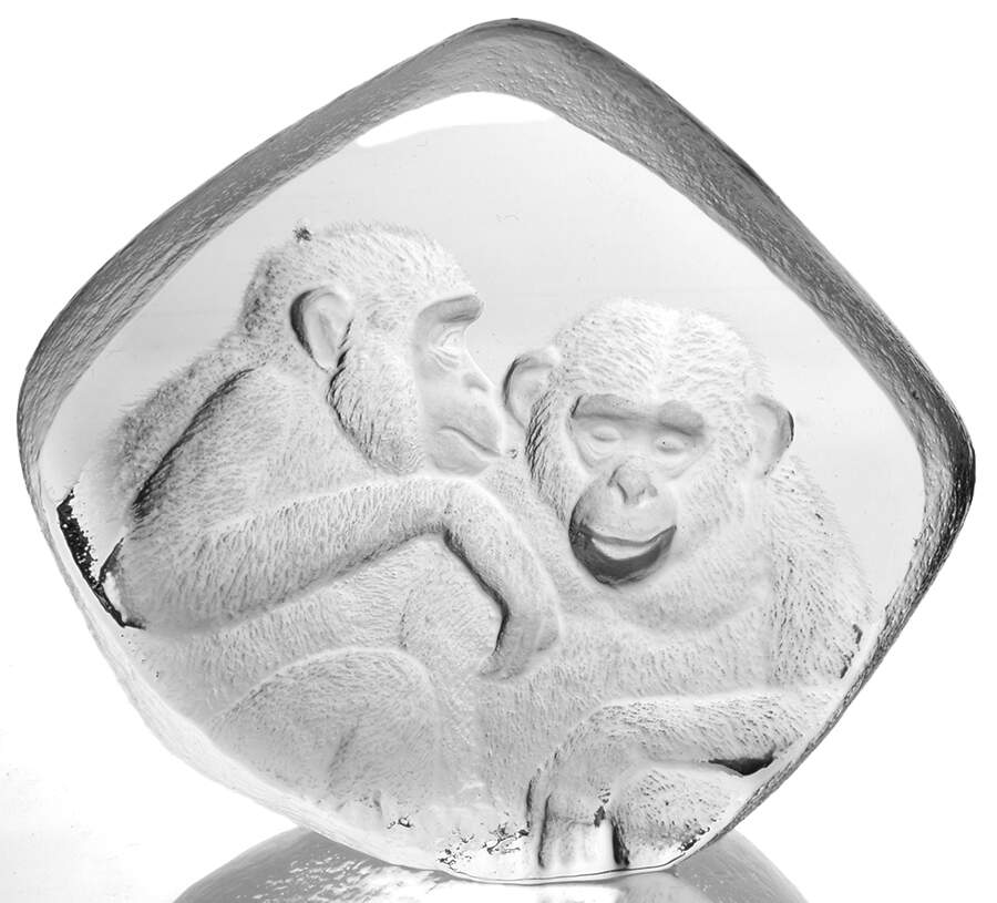 Tropical Animals Pair Of Chimpanzees - Boxed by Mats Jonasson-1