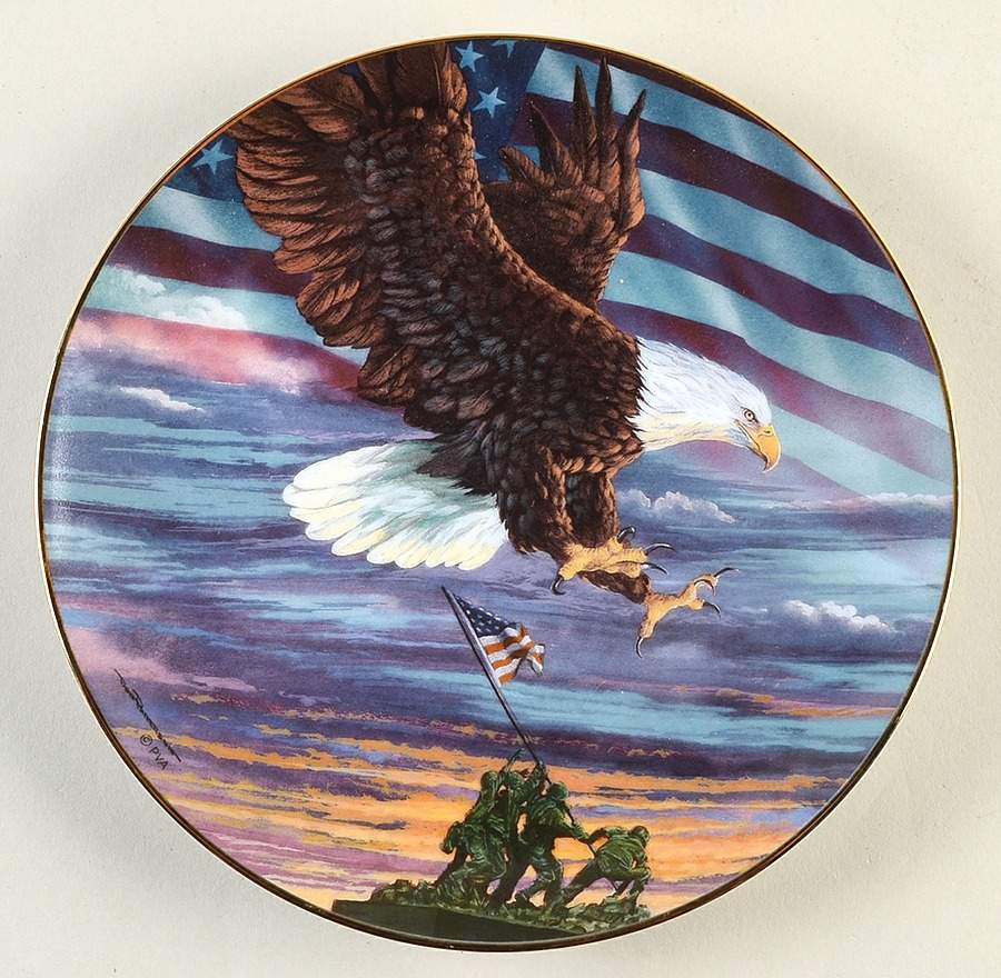 Paralyzed Veterans of America Home Of The Brave - No Box by Paralyzed Veterans of America-1