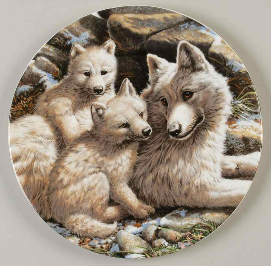The Beauty of Polar Wildlife Arctic Wolf Family - Boxed by Royal Grafton-1