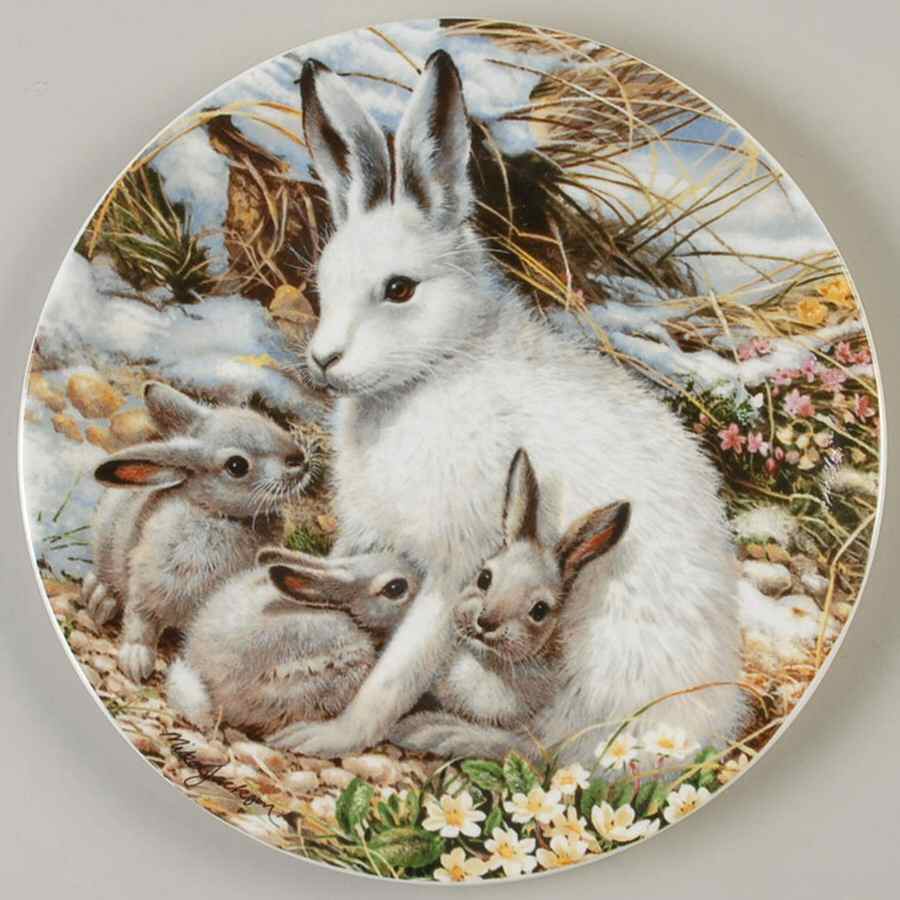 The Beauty of Polar Wildlife Arctic Hare Family - No Box by Royal Grafton-1