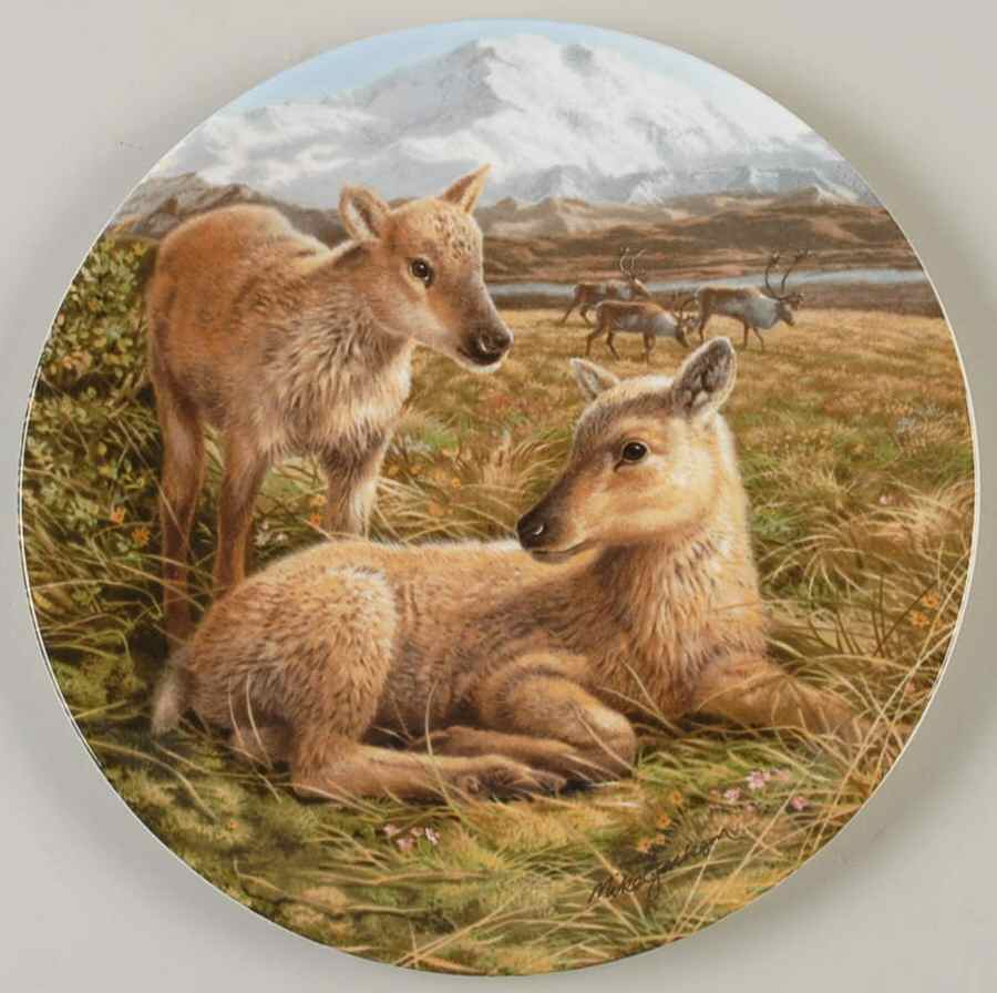 The Beauty of Polar Wildlife Reindeer Young - No Box by Royal Grafton-1