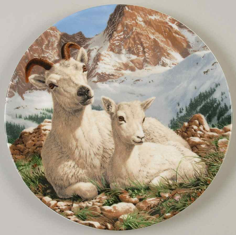 The Beauty of Polar Wildlife Dall Sheep - No Box by Royal Grafton-1
