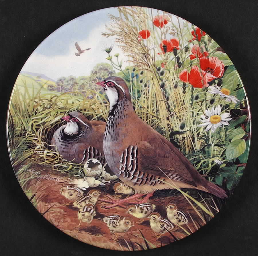 The Braithwaite Game Bird Collection Red-Legged Partridge - Boxed by Royal Grafton-1