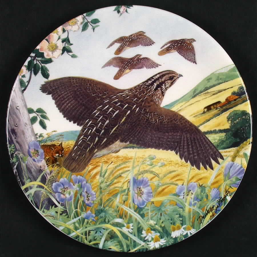 The Braithwaite Game Bird Collection Quail On The Wing - Boxed by Royal Grafton-1