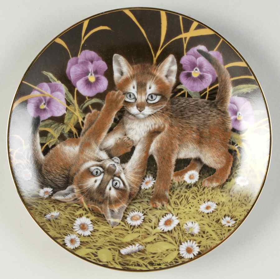 Feline Favourites Abyssinian Playmates - No Box by Rhea Silva-1
