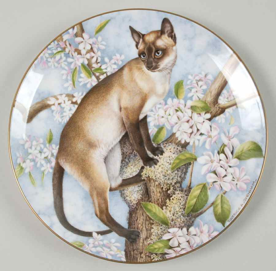Feline Favourites Siamese & Apple Blossom - No Box by Rhea Silva-1