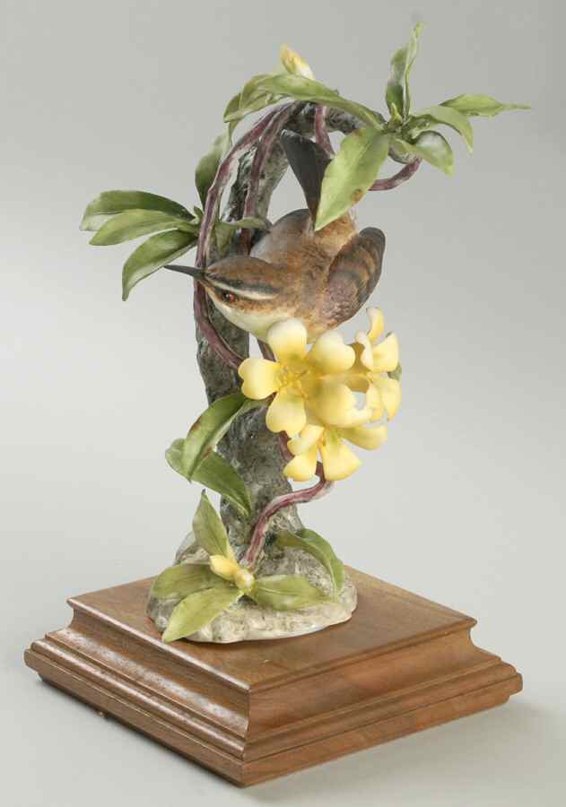 Doughty American Birds Hen-Bewick's Wren & Yellow Jasmine - Boxed by Royal Worcester-1