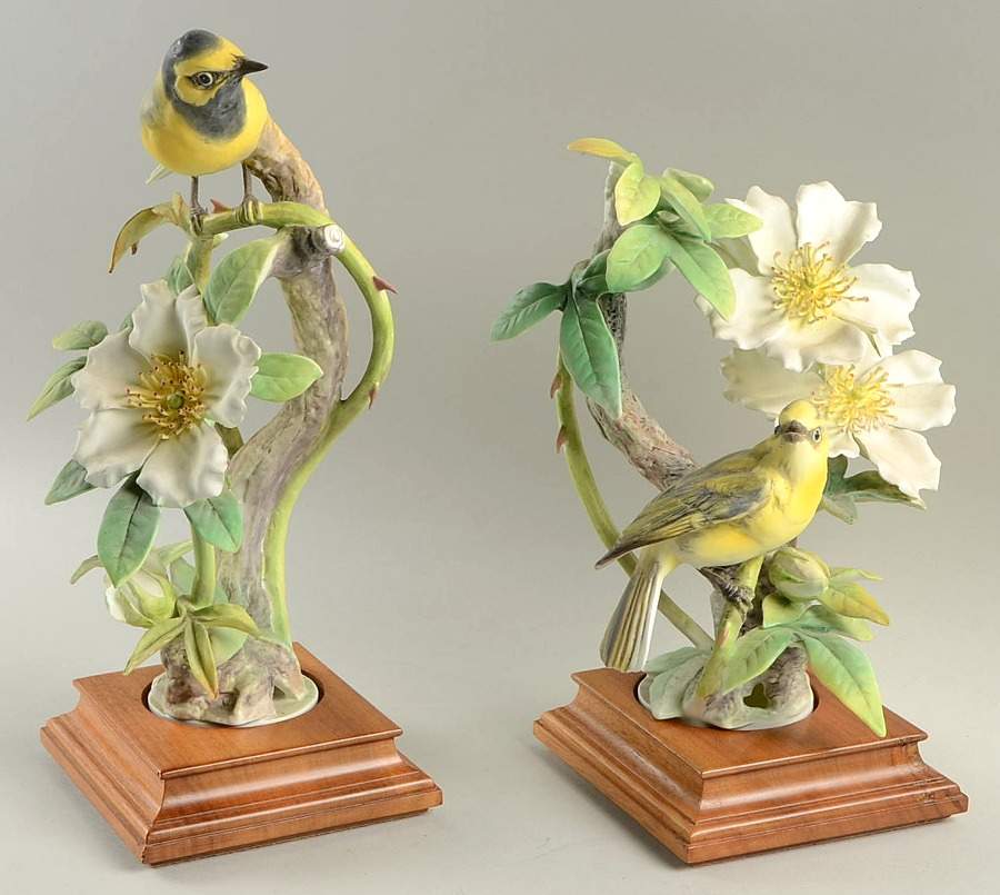 Doughty American Birds Hooded Warblers & Cherokee Rose Pair - No Box by Royal Worcester-1