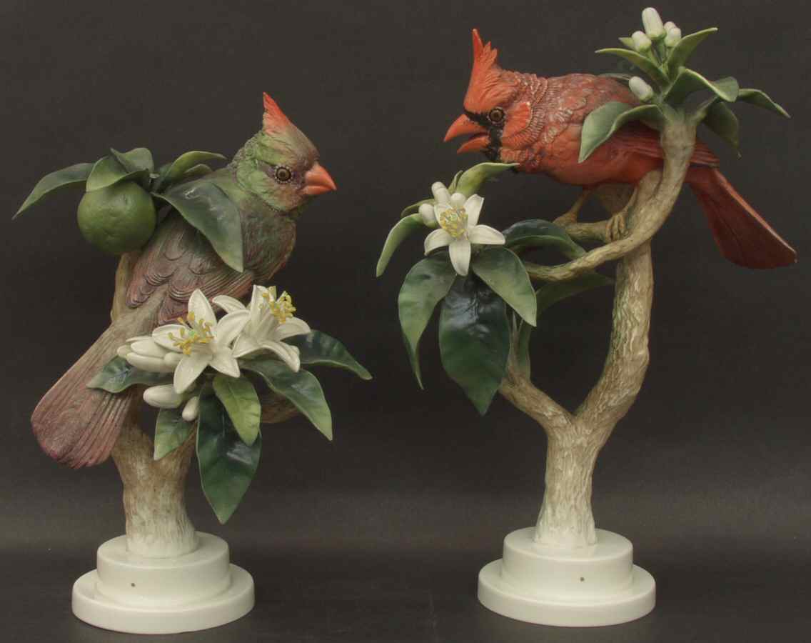 Doughty American Birds Virginia Cardinals & Orange Blossom-Pair - Boxed by Royal Worcester-1