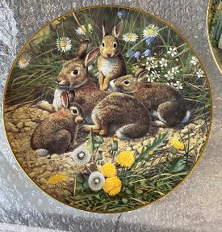 British Wildlife A Family Outing-Rabbits - Boxed by Royal Doulton-1