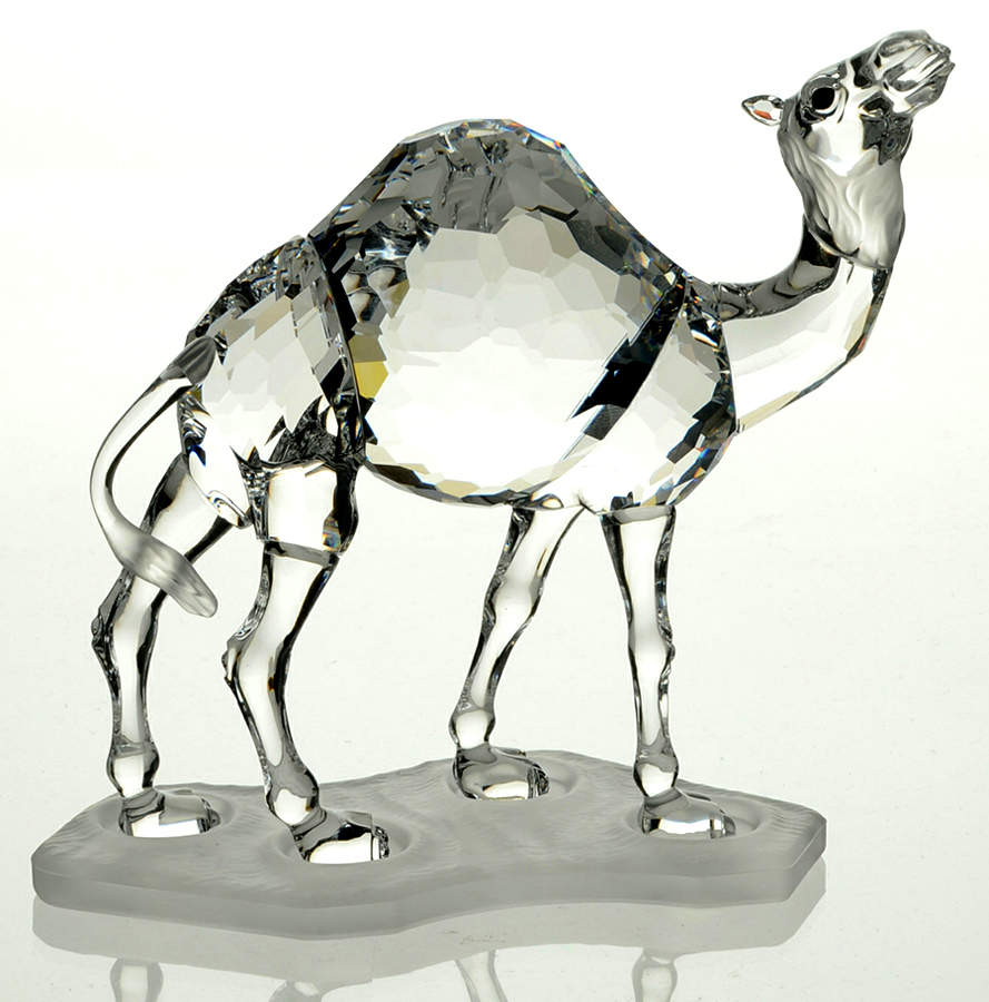 African Wildlife Camel-Frosted Base - Boxed by Swarovski-1