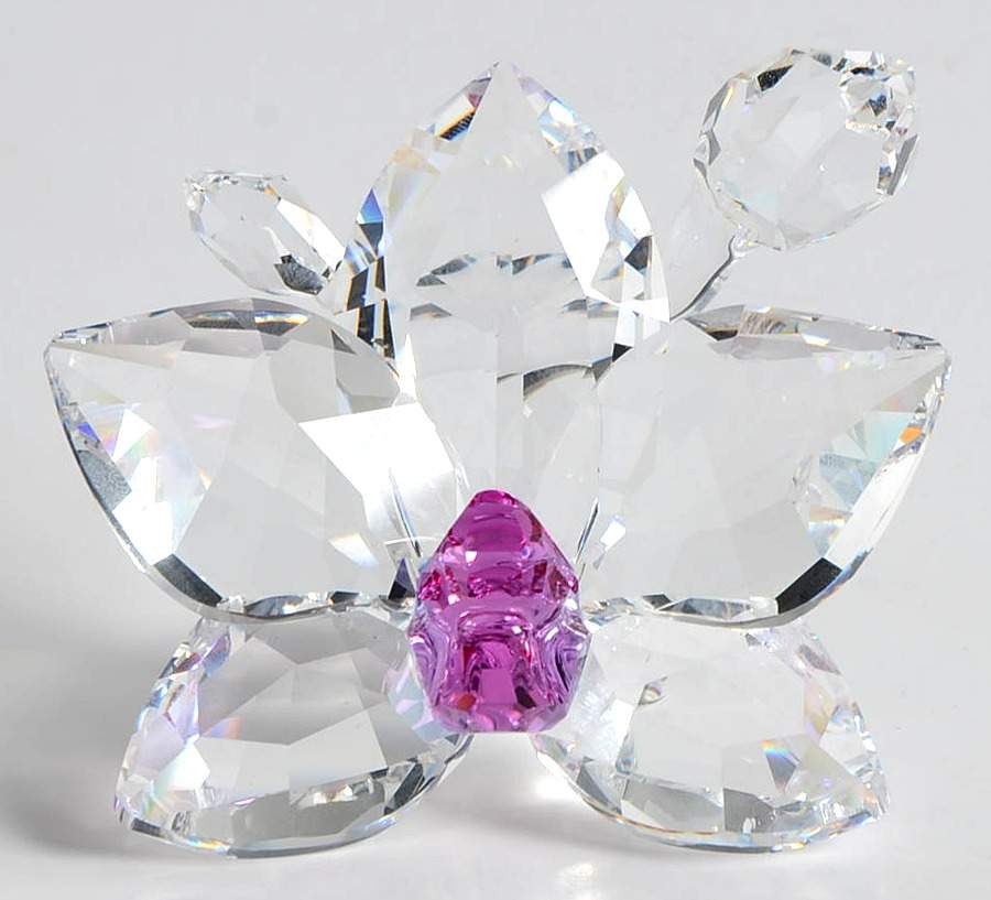 In The Secret Garden Orchid Blossom - Boxed by Swarovski-1