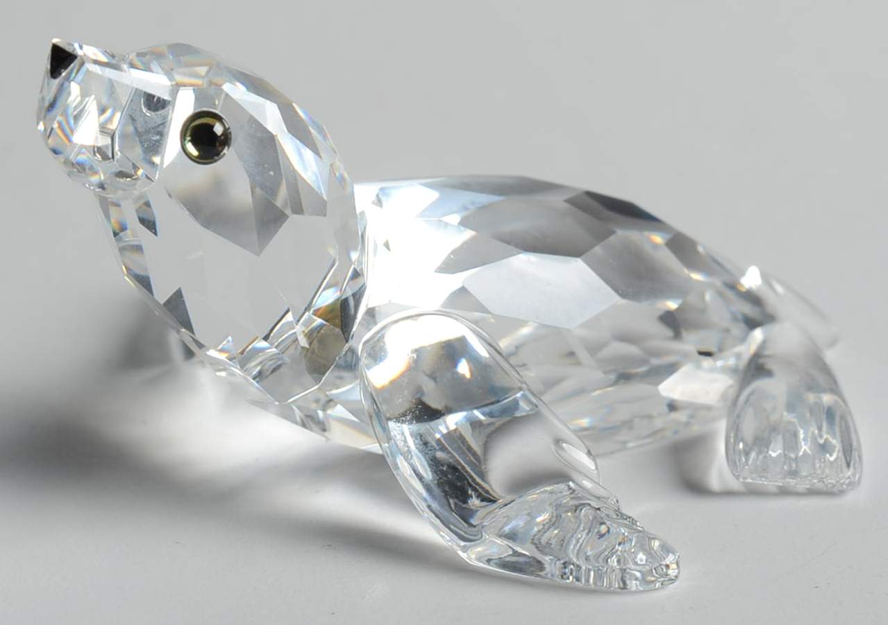 Aquatic Worlds Sea Lion-Baby - Boxed by Swarovski-1