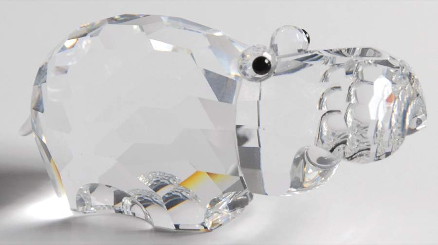 African Wildlife Hippopotamus-Large - Boxed by Swarovski-1