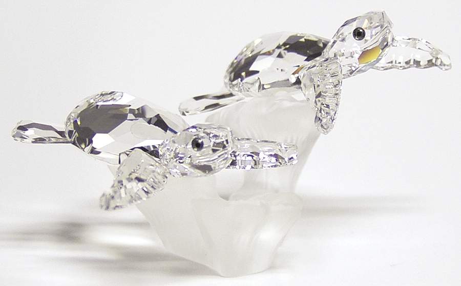 Aquatic Worlds Sea Turtles-Baby-Two On Frosted Base - Boxed by Swarovski-1
