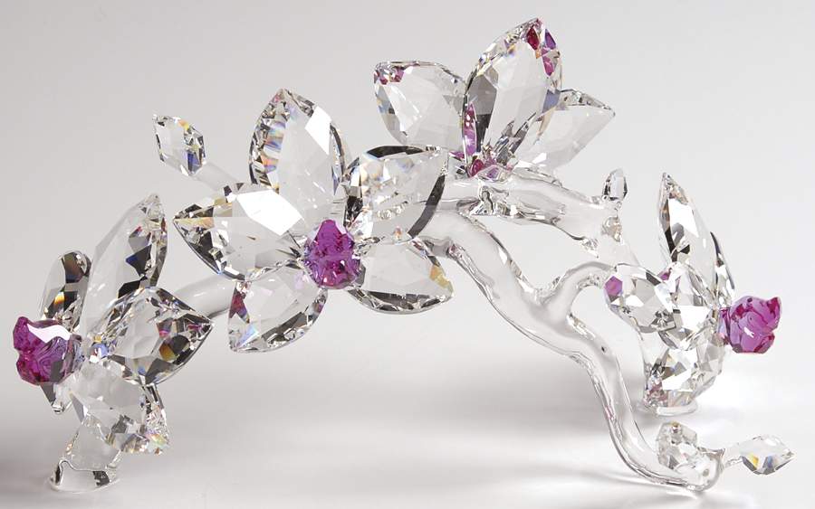 In The Secret Garden Orchids On Branch - Boxed by Swarovski-1