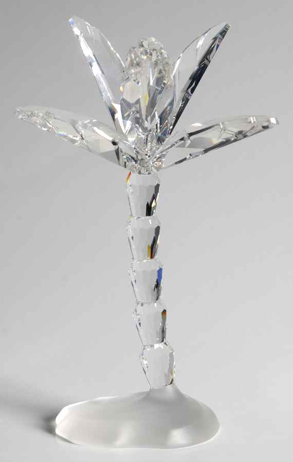 In The Secret Garden Palm Tree-Frosted Base - Boxed by Swarovski-1