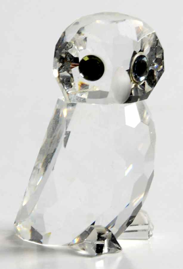 Woodland Friends Owlet-Frosted Beak  - Boxed by Swarovski-1