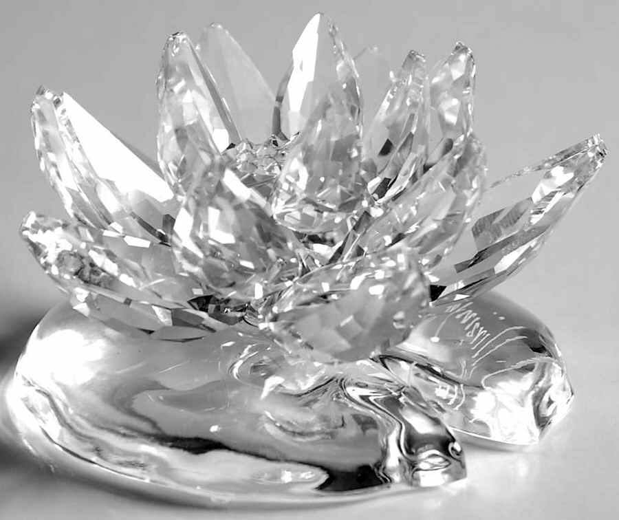 In The Secret Garden Waterlily-Large - Boxed by Swarovski-1