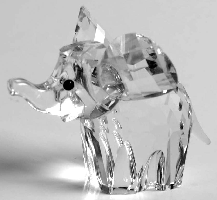 African Wildlife Elephant-Small - Boxed by Swarovski-1