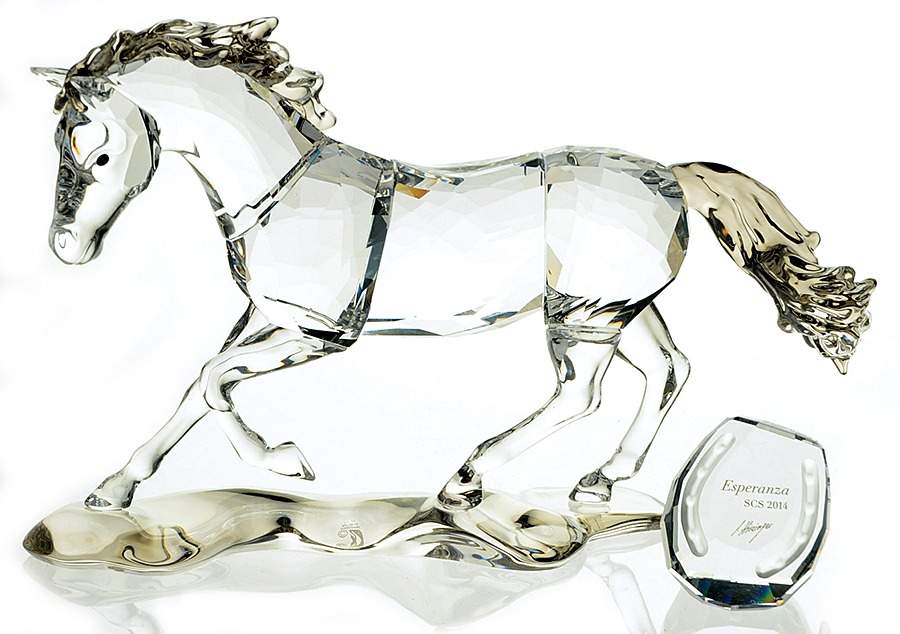 Collectors Society Figurines 2014-Horse-Esperanza - Boxed by Swarovski-1