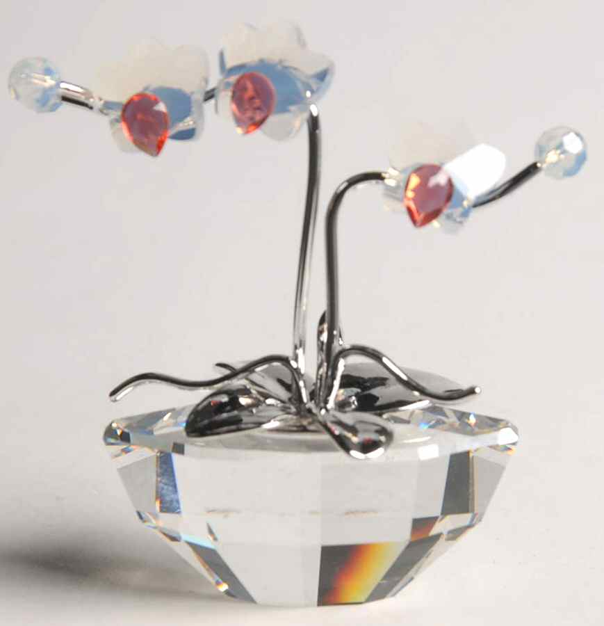 Flower Dreams Orchid-White Opal - With Box by Swarovski-1