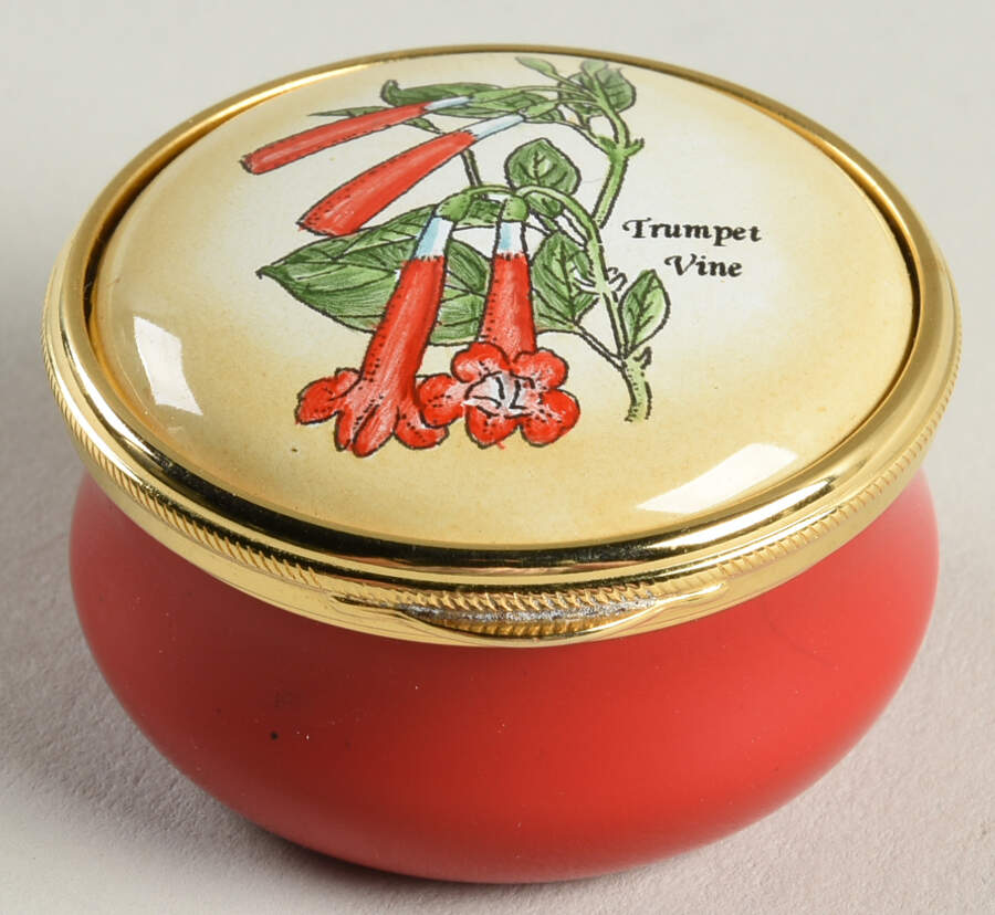 Connoisseurs Trumpet Vine Flower - No Box by Staffordshire Enamels-1