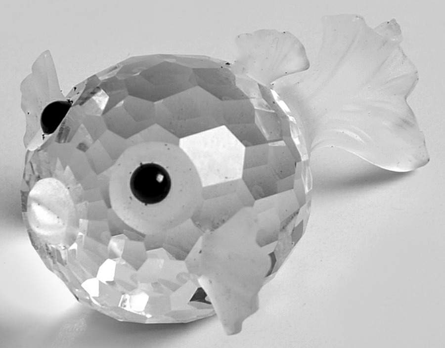 South Sea Blowfish-Mini - No Box by Swarovski-1