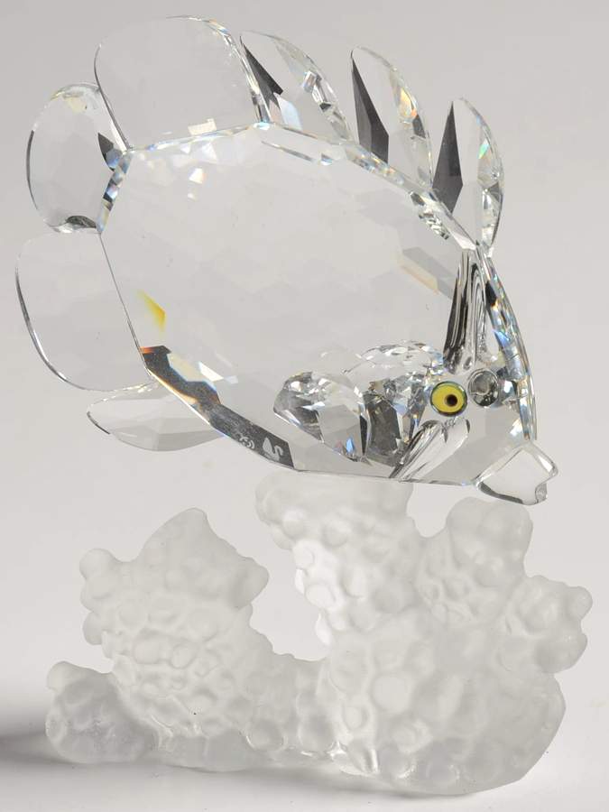 South Sea Butterfly Fish - Boxed by Swarovski-1