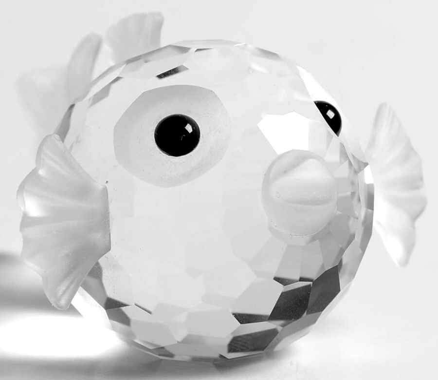 South Sea Blowfish-Small - No Box by Swarovski-1