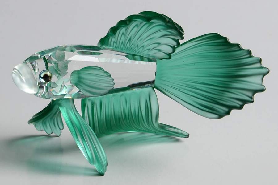South Sea Siamese Fighting Fish-Green - Boxed by Swarovski-1
