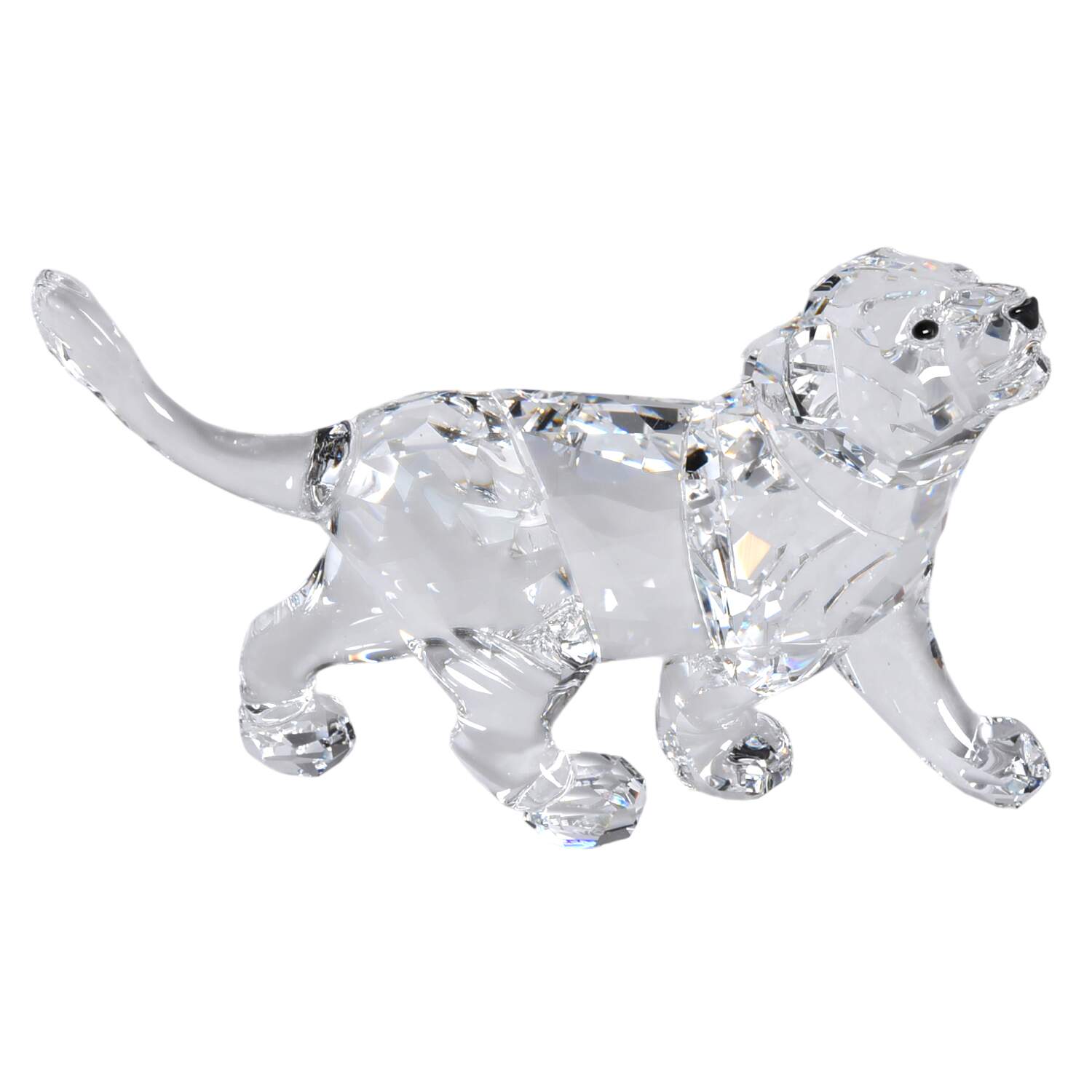 Rare Encounters Lion Cub - Boxed by Swarovski-1