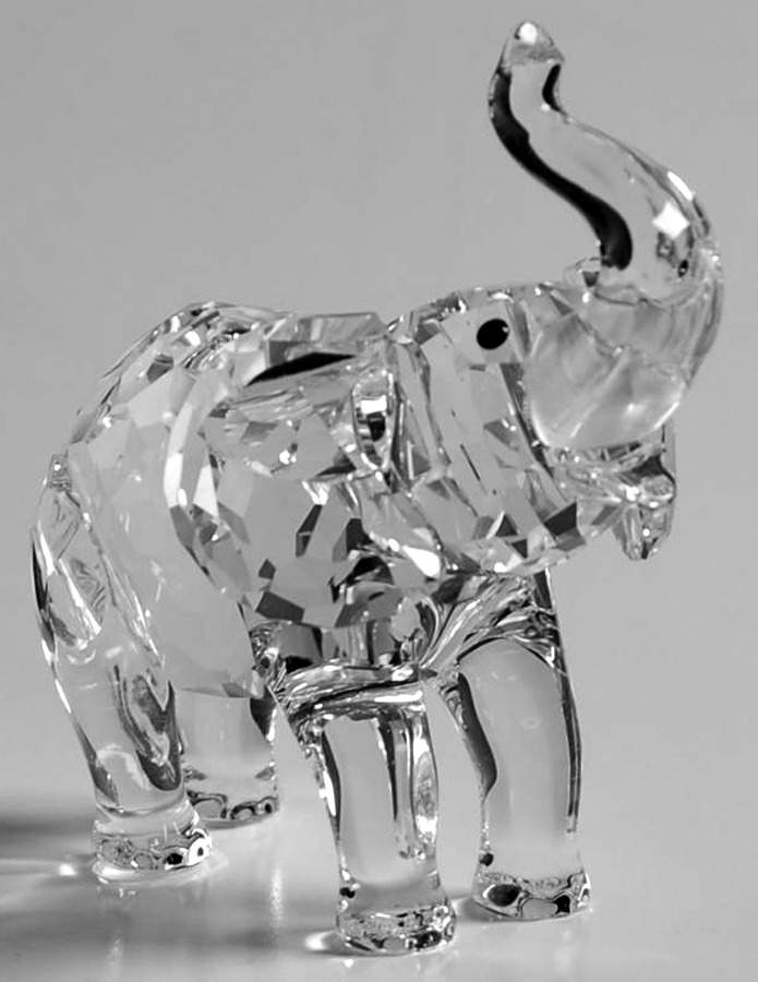 Rare Encounters Baby Elephant-Trunk Up - Boxed by Swarovski-1