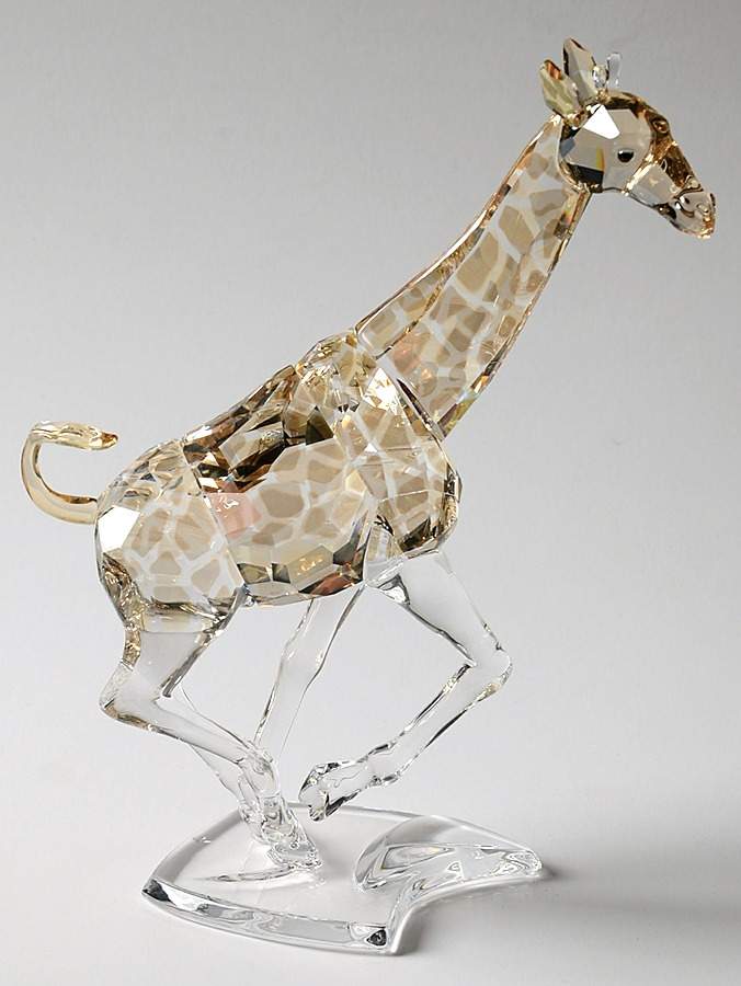 Rare Encounters Giraffe-Desert Glow - Boxed by Swarovski-1