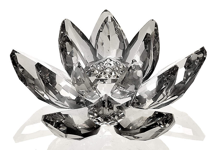 In The Secret Garden Waterlily-Small - No Box by Swarovski-1