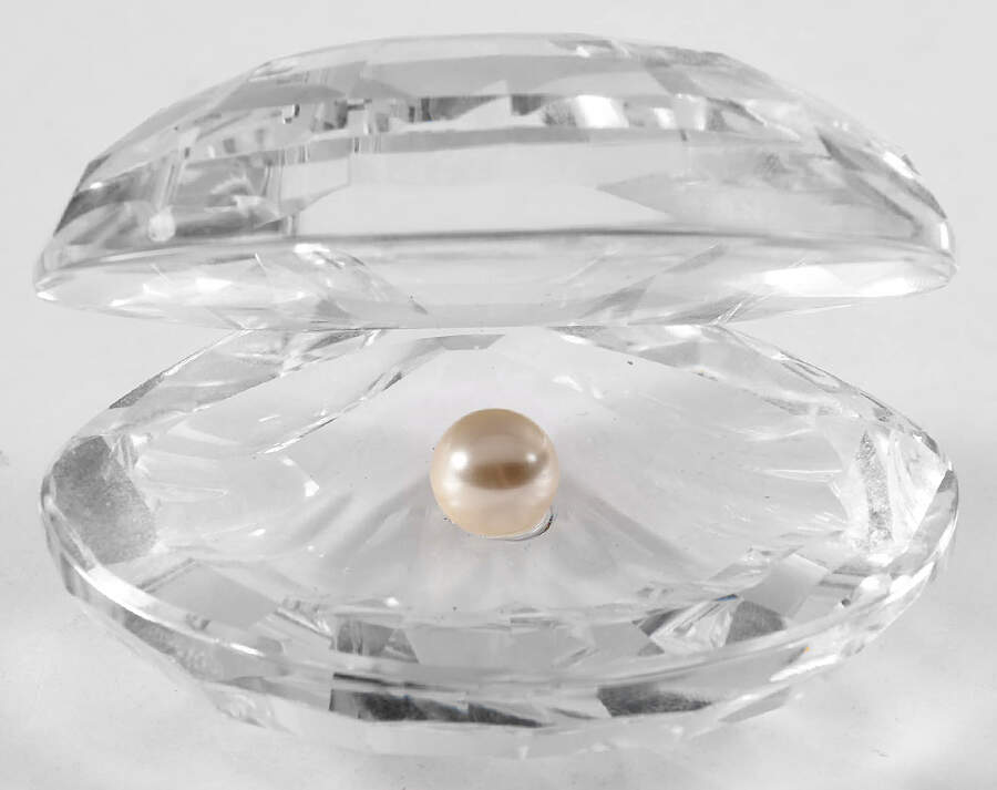 Aquatic Worlds Shell With Pearl-Small-White Pearl - No Box by Swarovski-1