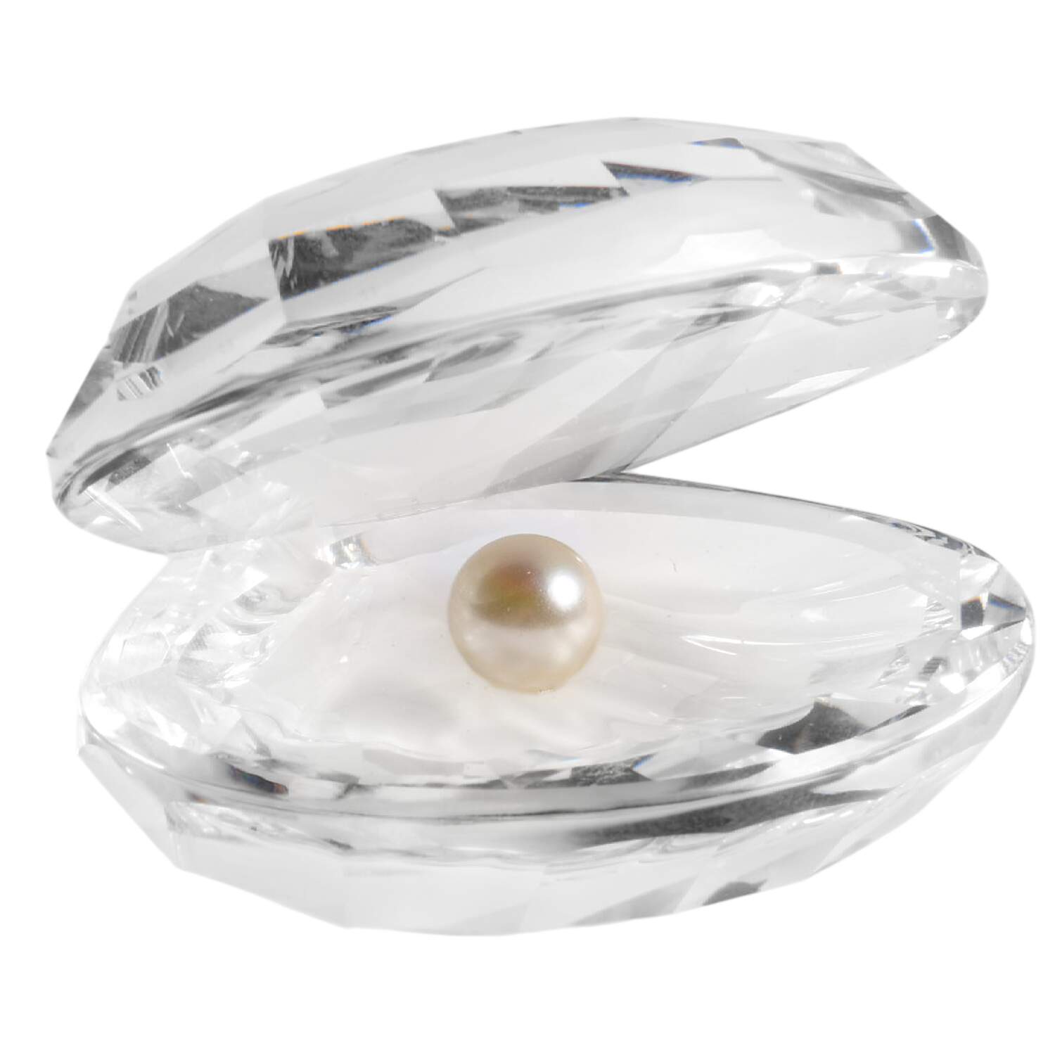 Aquatic Worlds Shell With Pearl-Large-White Pearl - Boxed by Swarovski-1
