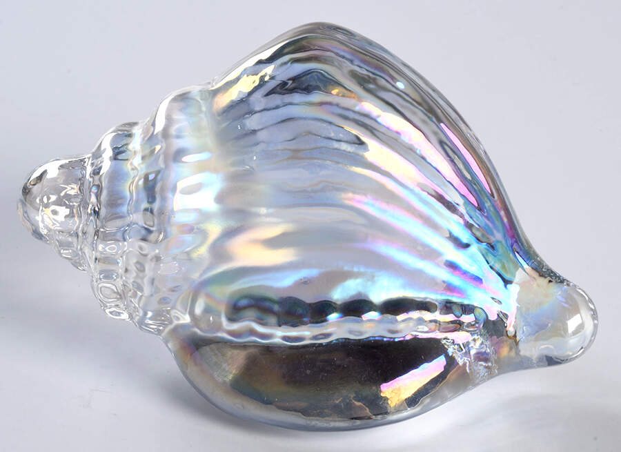 Art Glass Irridescent Conch Shell Paperweight - No Box by Silvestri-1