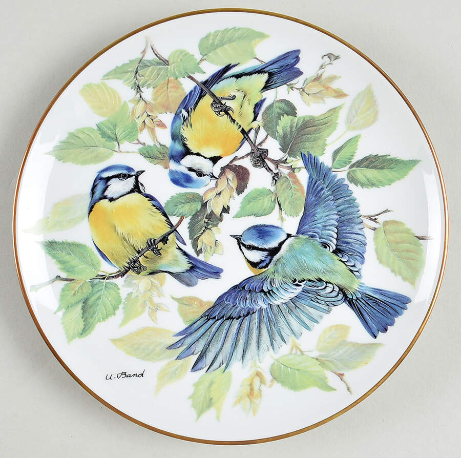 Band's Songbirds of Europe Blue Titmouse - No Box by Tirschenreuth-1