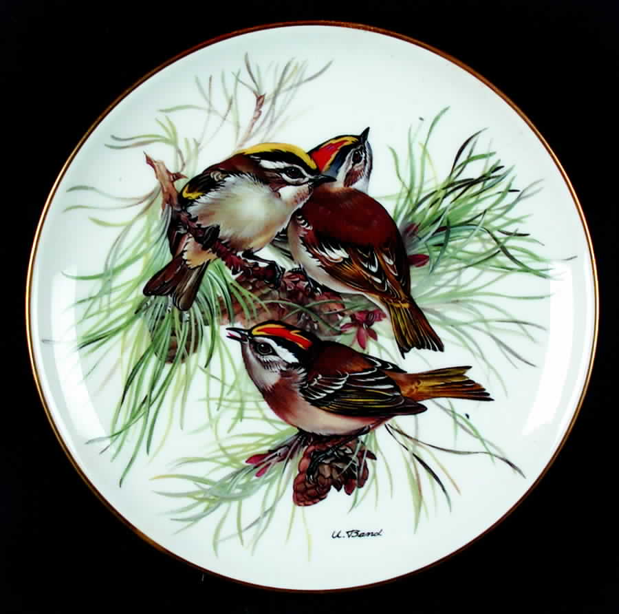 Band's Songbirds of Europe Firecrest - No Box by Tirschenreuth-1