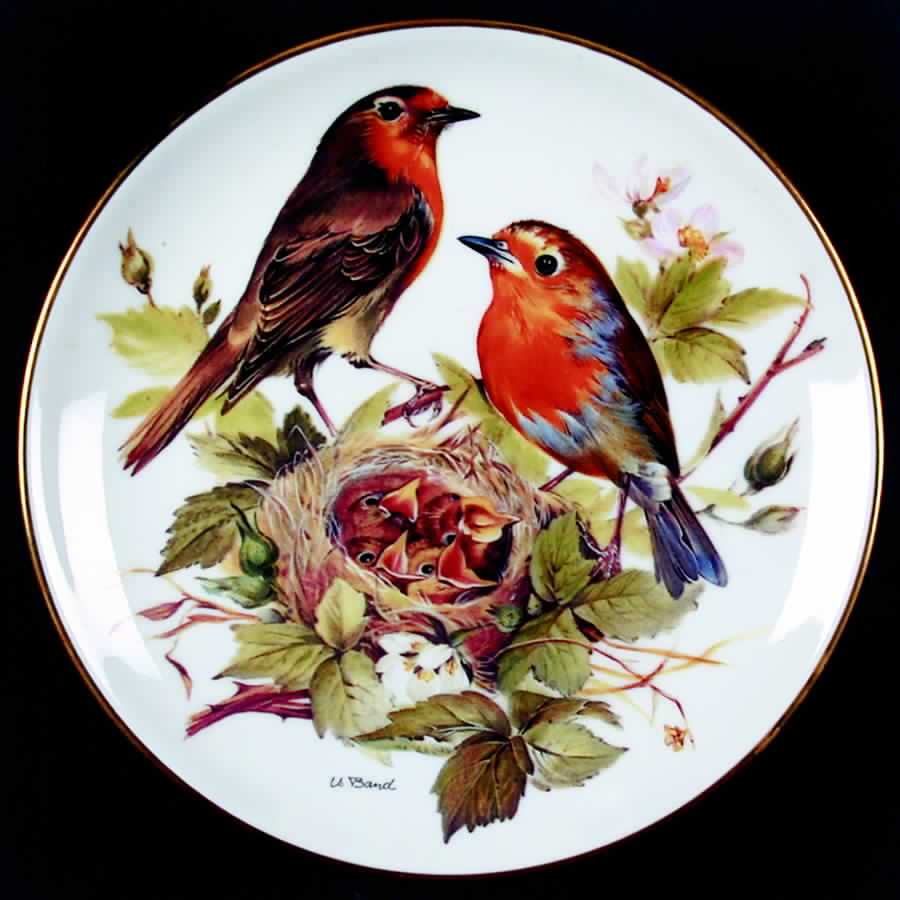 Band's Songbirds of Europe Red Robin - Boxed by Tirschenreuth-1