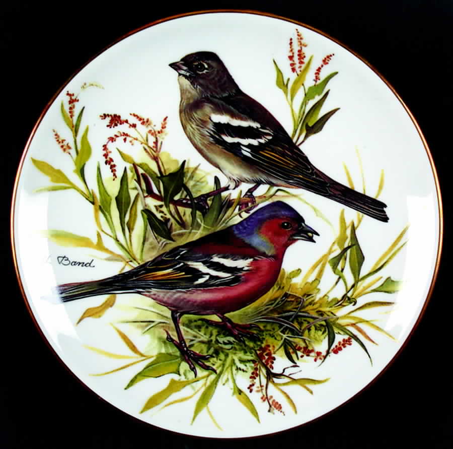 Band's Songbirds of Europe Chaffinch - No Box by Tirschenreuth-1