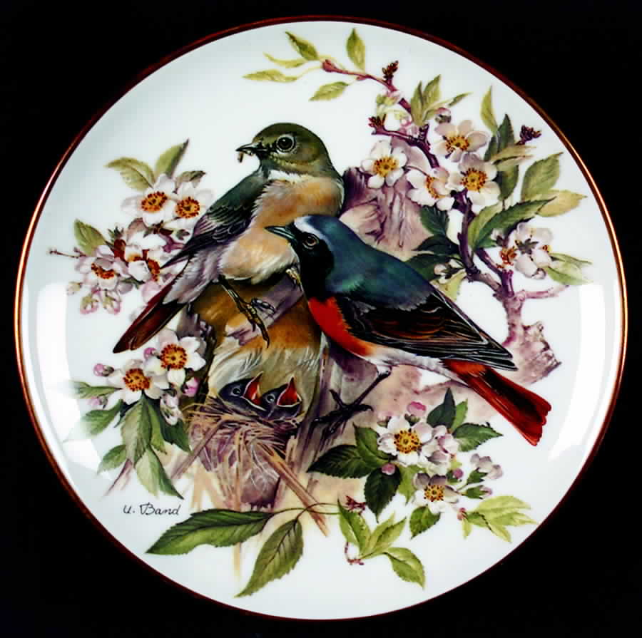 Band's Songbirds of Europe Redstart - Boxed by Tirschenreuth-1